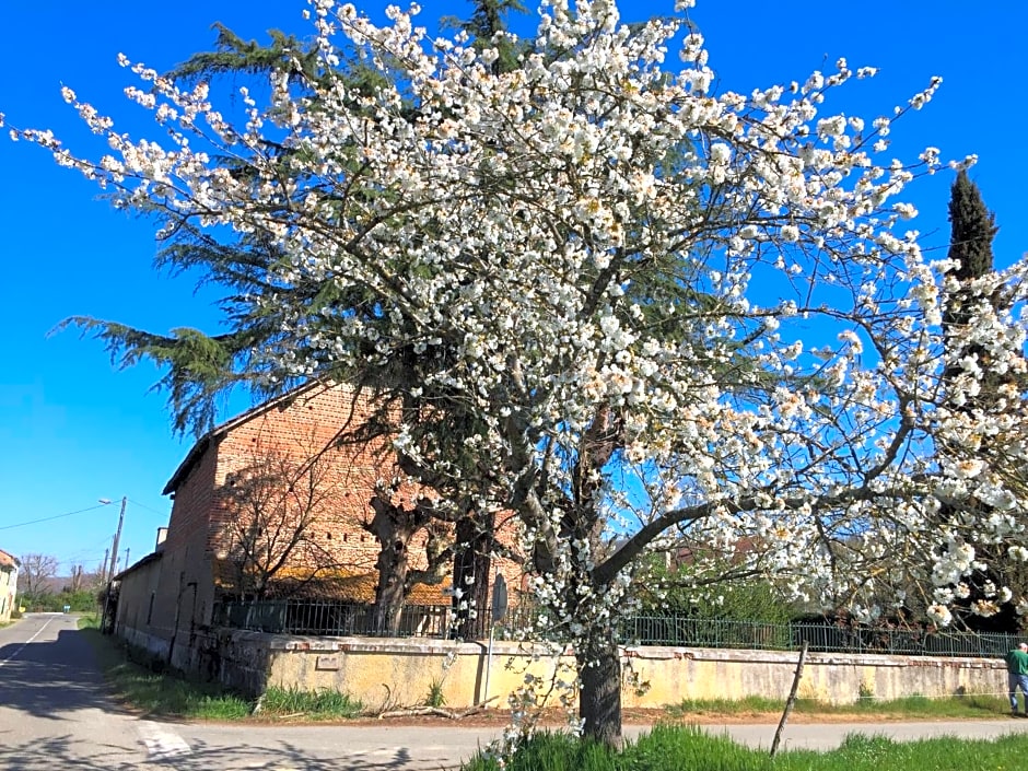 Saint Sever des Pyrenees