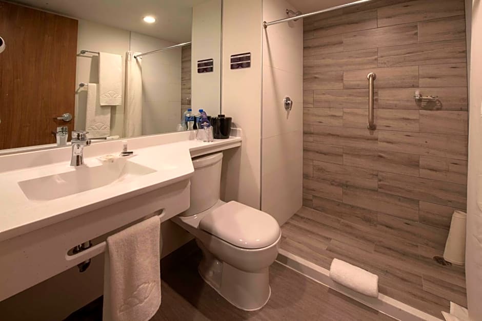 Microtel Inn & Suites by Wyndham San Luis Potosi
