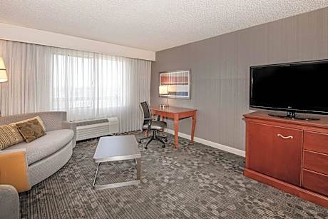 Suite, 1 King Bed with Sofa bed (1 King Bed and 1 Double Sofa Bed)