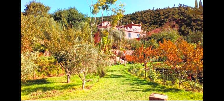 Ourika Timalizène le jardin des délices