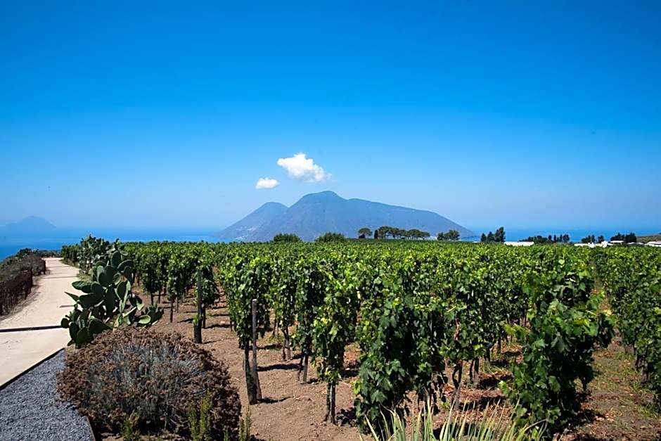 Tenuta di Castellaro Winery & Resort