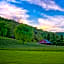 Mountain Springs Cabins