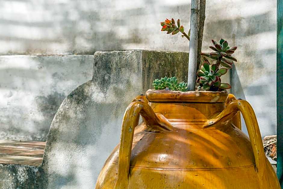 Etna B&B La casa di Pippinitto