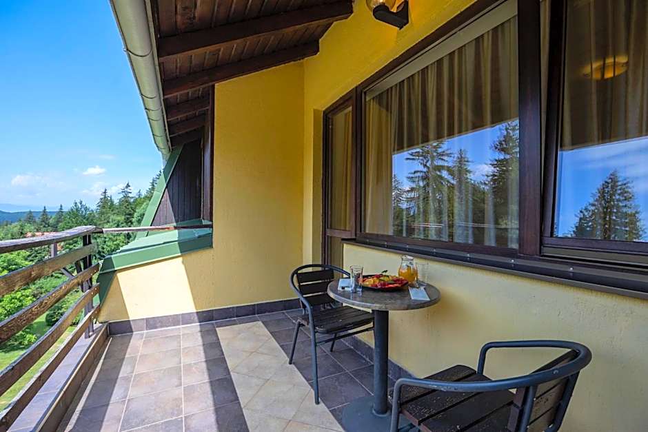 Hotel Casa Viorel jacuzzi & saunas