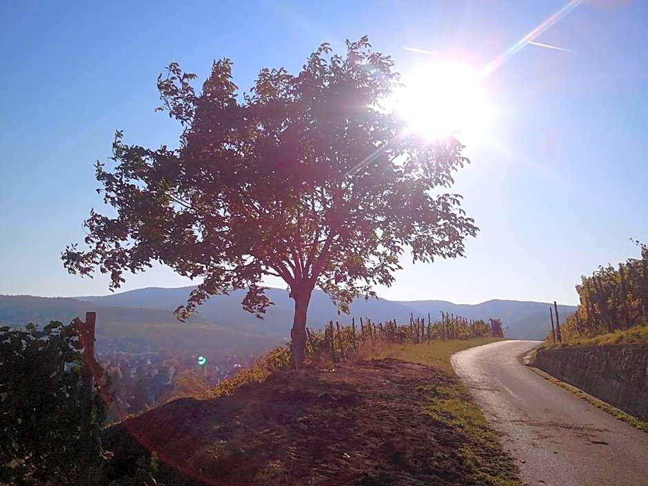 Aparthotel am Kurpark