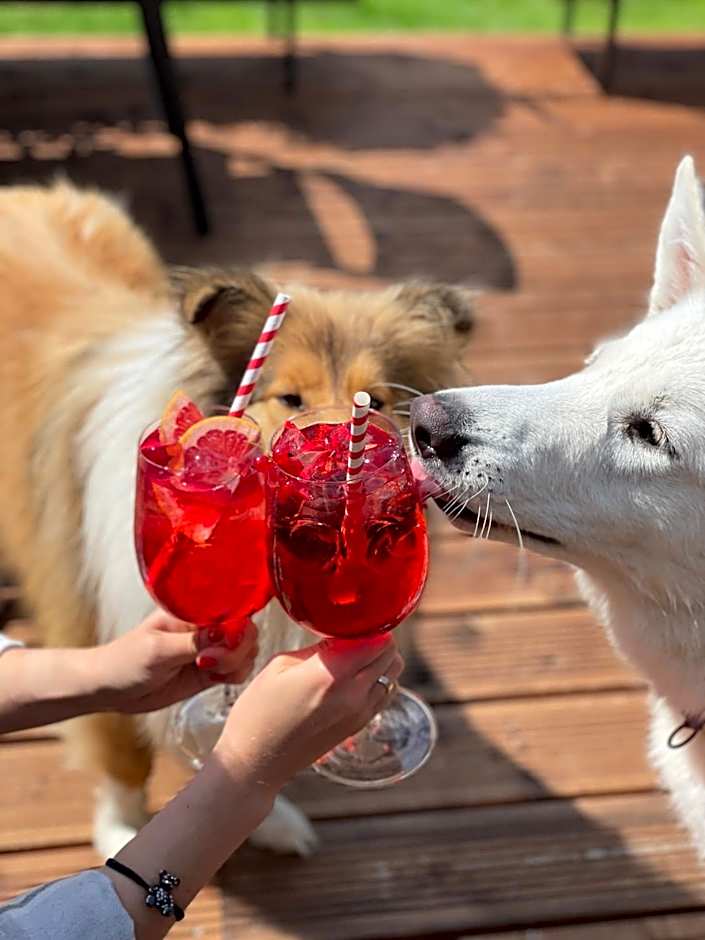 Abzali Hotel and Restaurant with self check-in