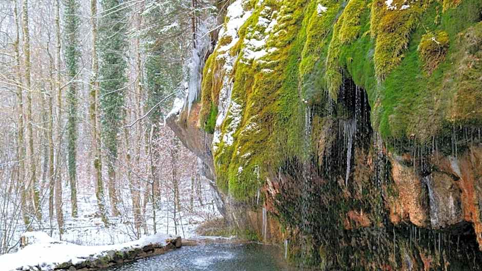 Trail-Inn Natur & Sporthotel