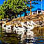Reflections Massy Greene - Holiday Park