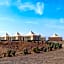 The White Camel Camp - Agafay Desert Activities