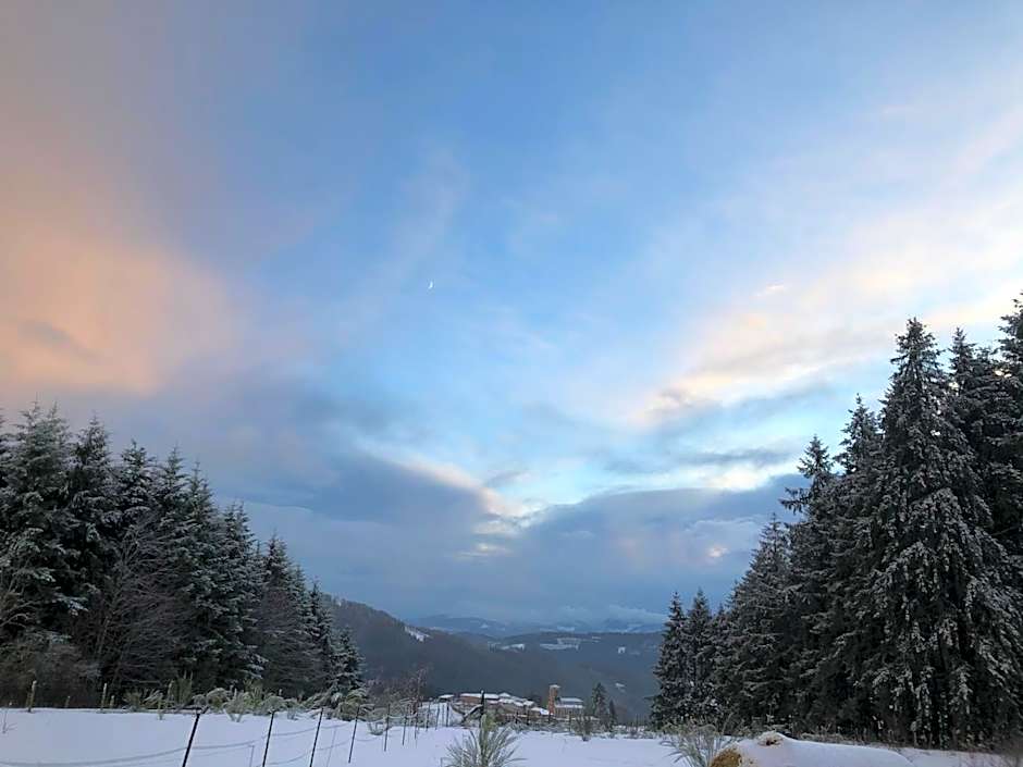 LE CHALET de la goutte
