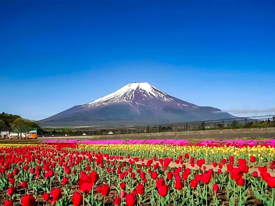 Minamitsuru-gun - Hotel / Vacation STAY 45541