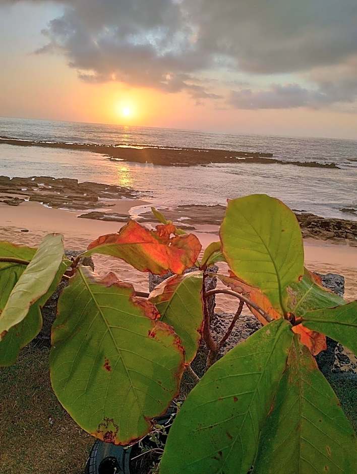 Pousada Tropicália Tranquilidade a Beira Mar