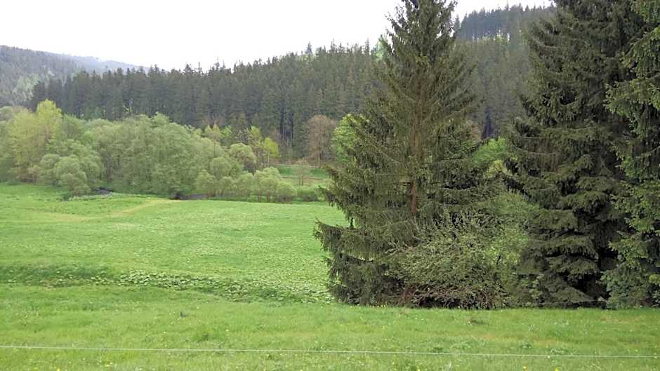 Hotel Thüringer Wald