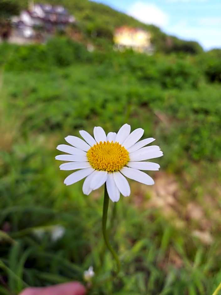 oneday in geoje