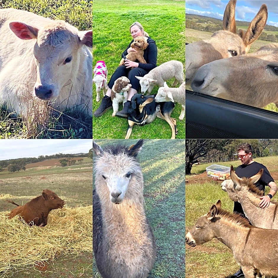 Sandalwood Downs Fabulous Farm Stay TOODYAY