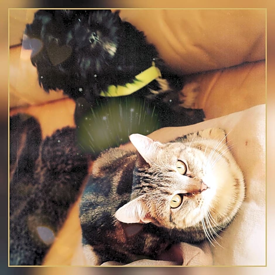 Skymist Maison d'hôtes