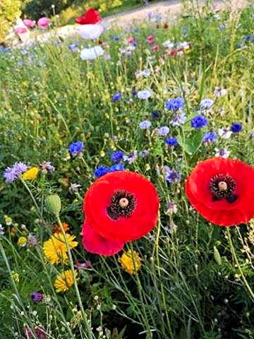 Pokoje Gościnne Art- Dworek