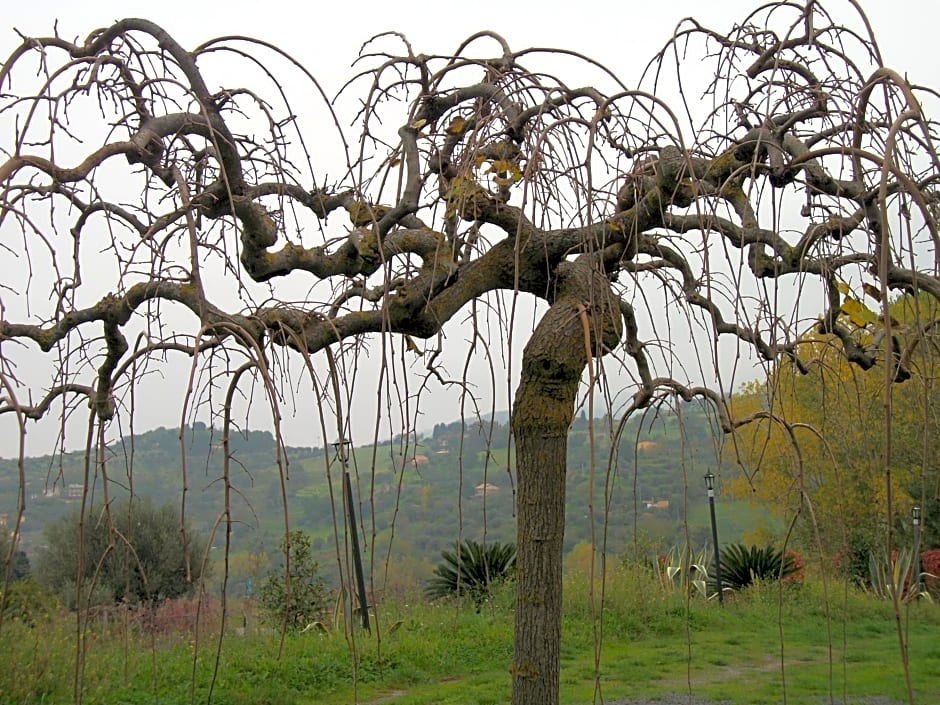 Le Poiane B&B Vacanze