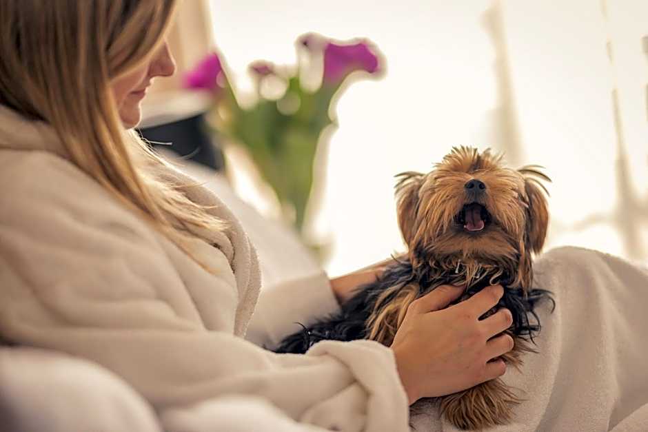 Mercure Wiazowna Brant