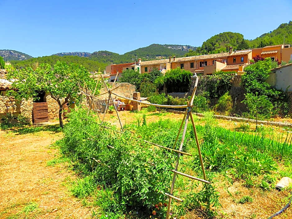 Sa Fita Backpackers - Albergue Juvenil