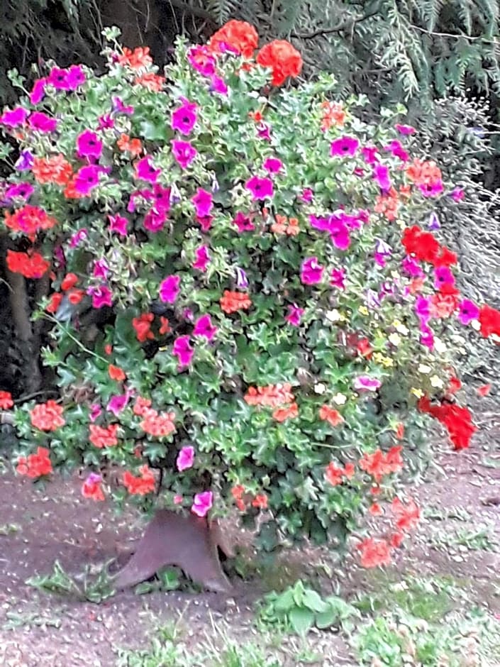 la ferme des tertres