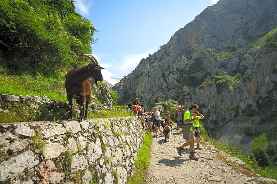 Arcea Mirador de Cabrales