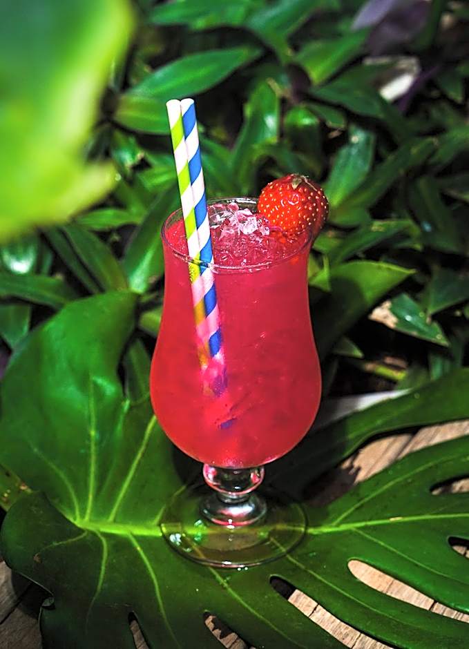 Marinell Collection Palm-Mar