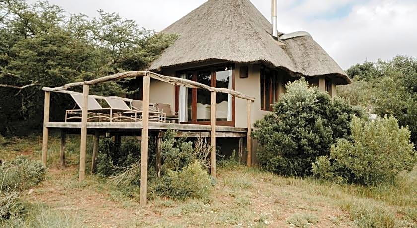Bukela Game Lodge - Amakhala Game Reserve