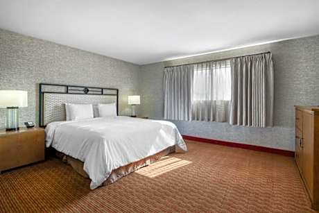 1 King Bed, Non-Smoking, Oversized Room, Whirlpool, Sofabed, Dining Room, Two Televisions, Continent