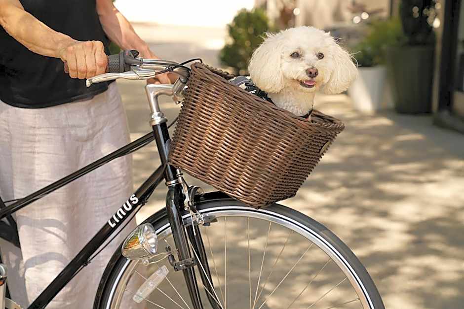 Generator Hotel Washington DC