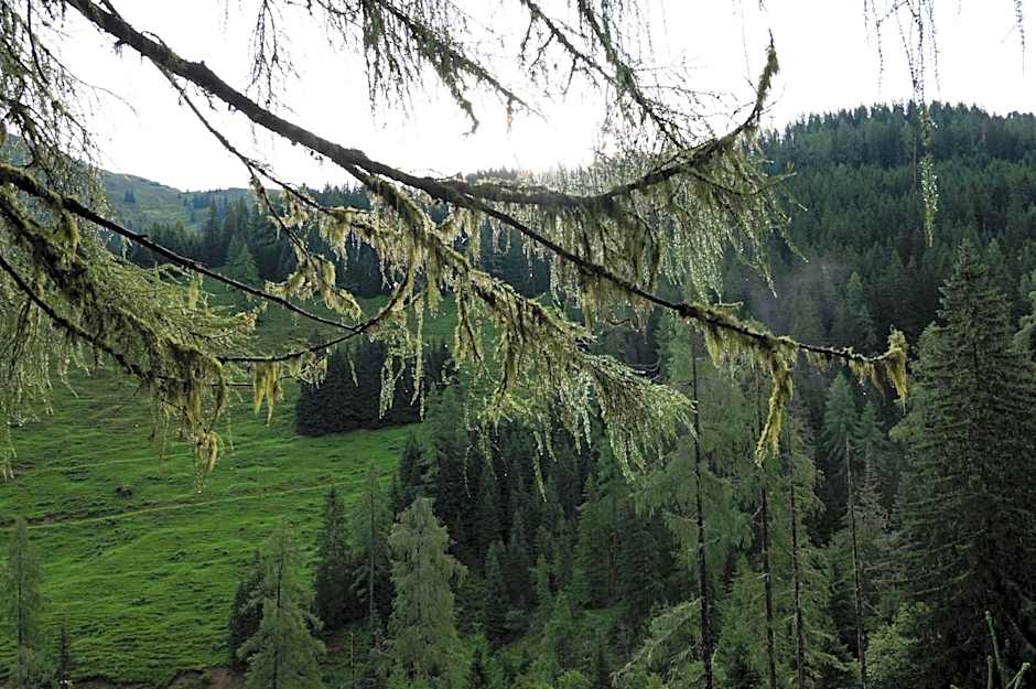 Hotel Gratz Großarl