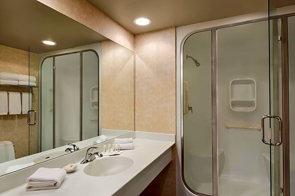 Royal Hotel Edmonton Airport Trademark Collection by Wyndham