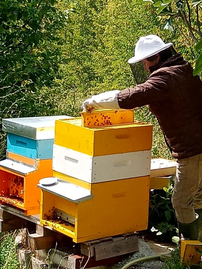 Il Rifugio dell'Ape Agriturismo