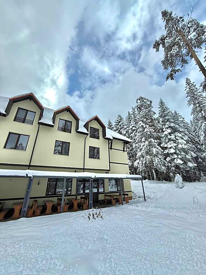 Berghof Eva - Hotel