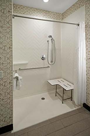 King Room - Disability Access Roll in Shower