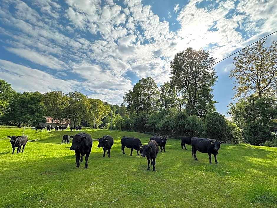 Hotel Villa Simplicitas