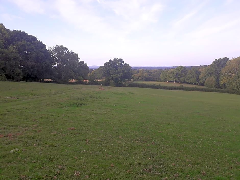 Moaps Farm B&B support small business, welcome, check in from 5 pm