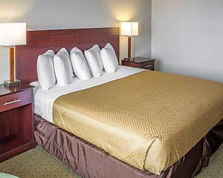 1 King Bed Nonsmoking