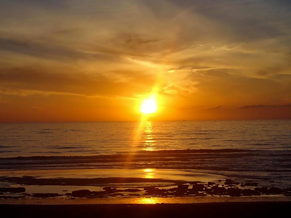 West Coast Surf Hostel