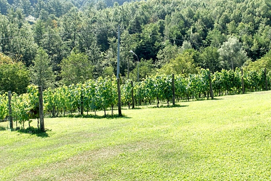B&B La Provenzale