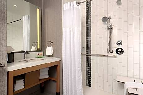 Accessible | King Bed/Roll-In Shower (Plus Sofa Bed)