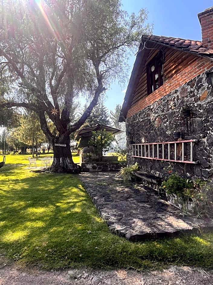 Cabañas Cumbres de Aguacatitla