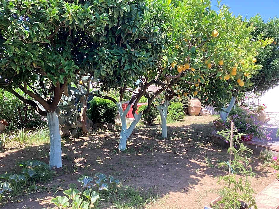Casetta Minghitto Relaxing rooms in Capri