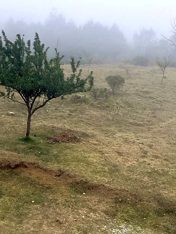 Hotel las carretas , spa y temazcal