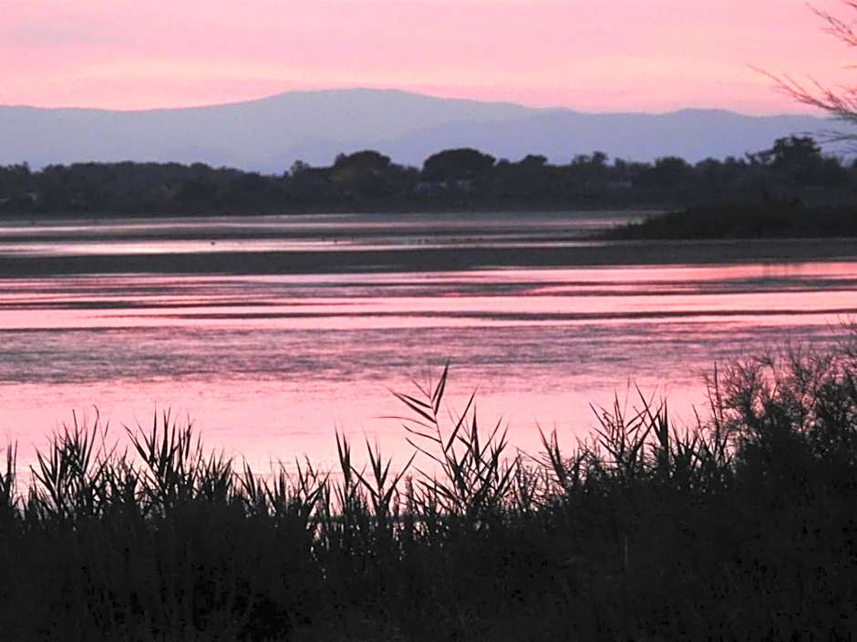 Hotel Les Palmiers En Camargue