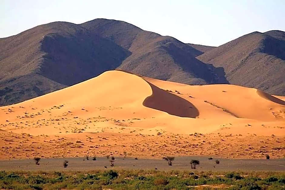 Porte De Sahara Ouzina
