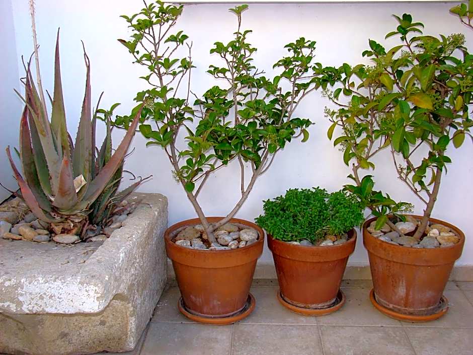 Diamond Apartments & Suites