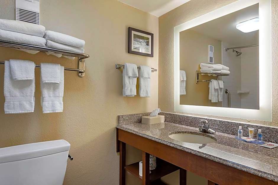 Comfort Inn & Suites Little Rock Airport