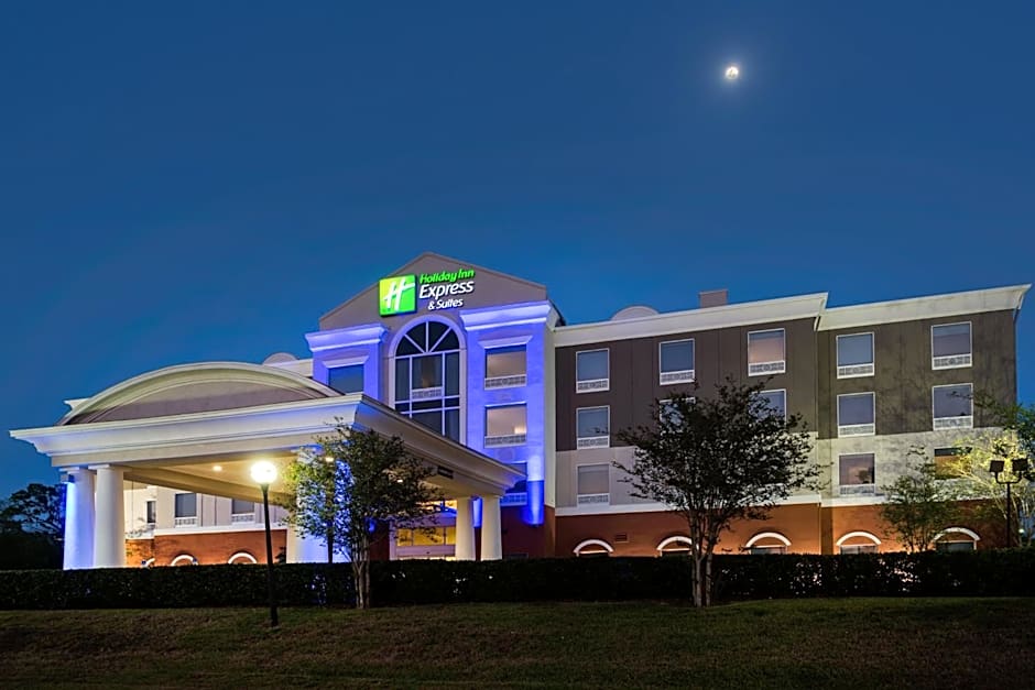 Holiday Inn Express Hotel & Suites Tampa-Fairgrounds-Casino By IHG