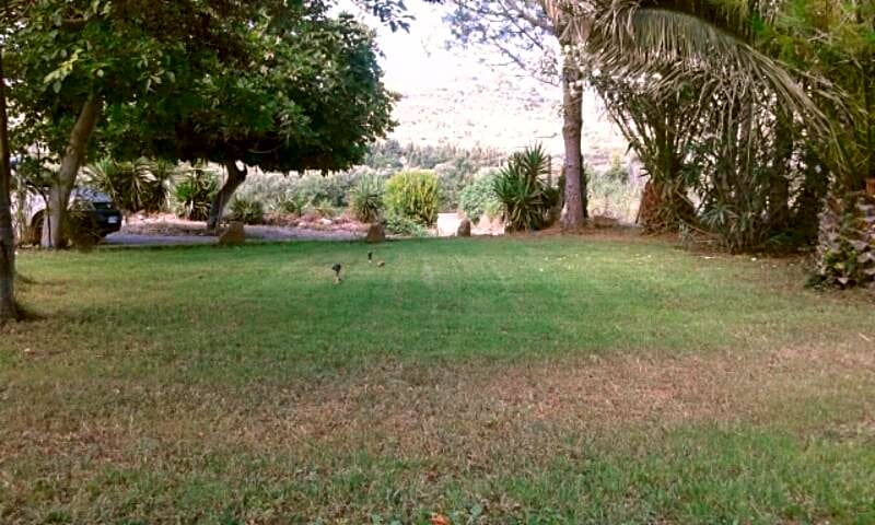 Bed & Breakfast Il Rosmarino